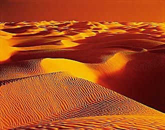 《消逝的光芒2》DLC猩红纽带成就列表公布