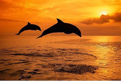 Nintendo Switch版《人中之龙 极》演员本宫泰风饰演父亲的广告现已公开！